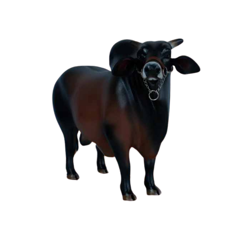 Boi Corote Sindi 2 Litros